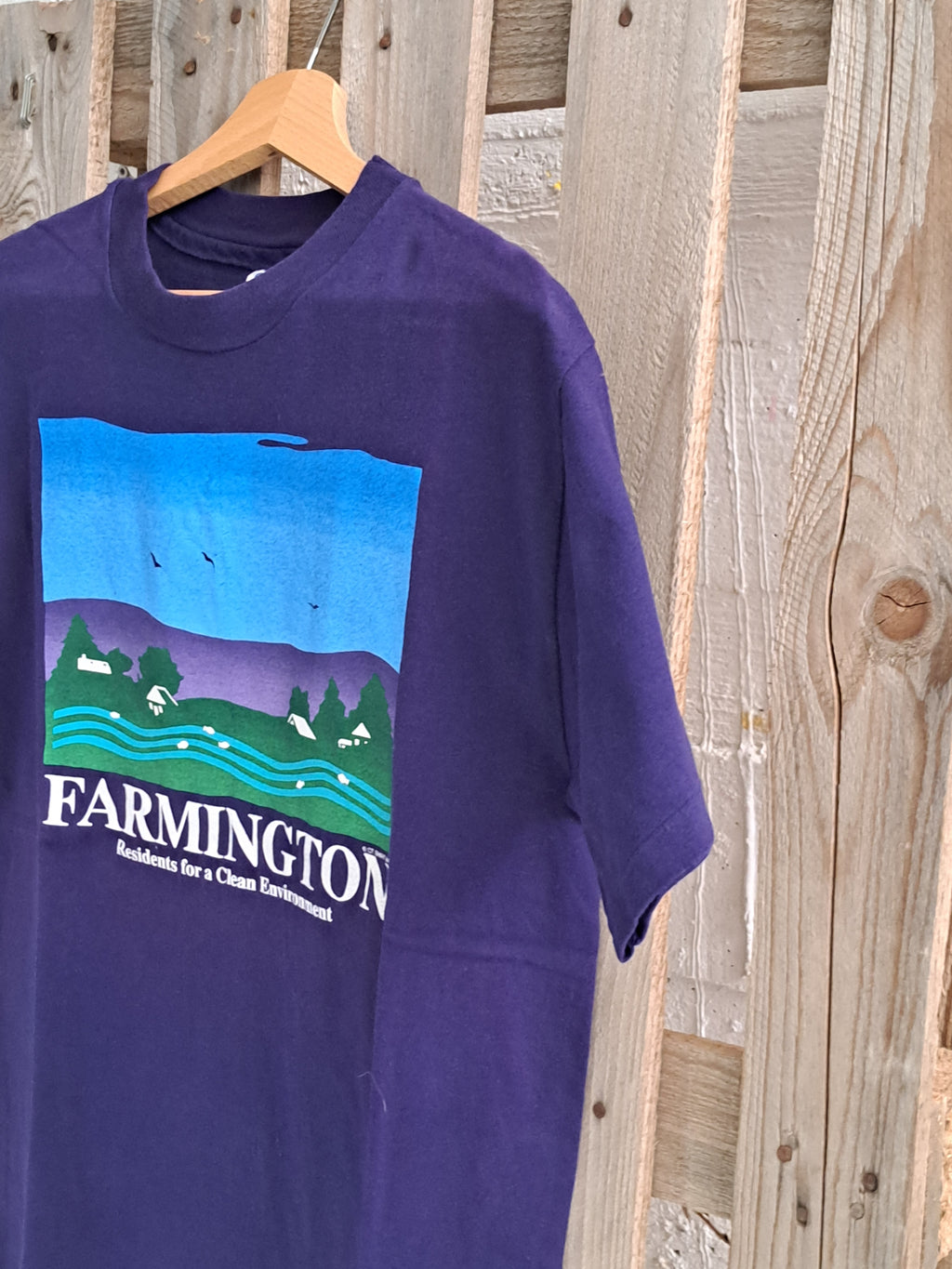 Vintage 90s single stich graphic t-shirt